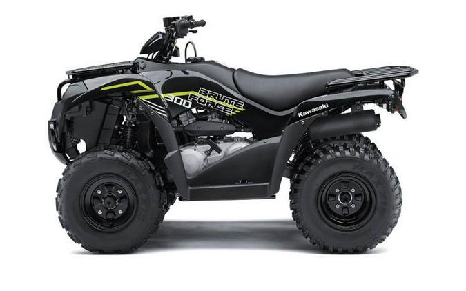  2022 kawasaki brute force 300 