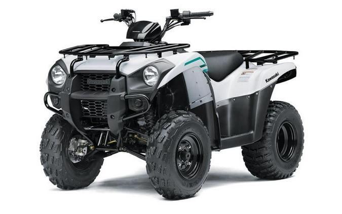  2023 kawasaki brute force 300 